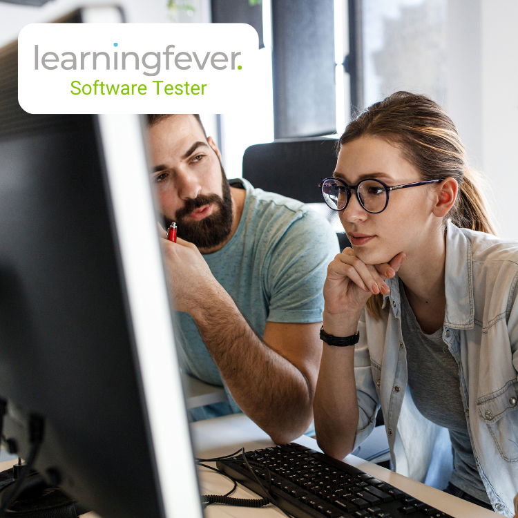 Software tester